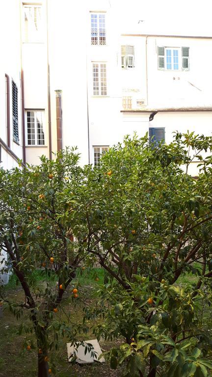 Torre Cepollini Hotel Albenga Exterior photo